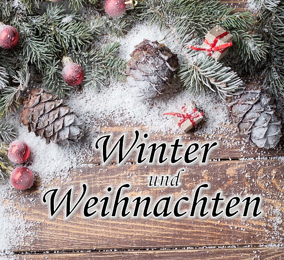 Tannenzweige und -zapfen, Tannenbaumkugeln und kleine Geschenkpakete mit Kunstschnee und dem Schriftzug 